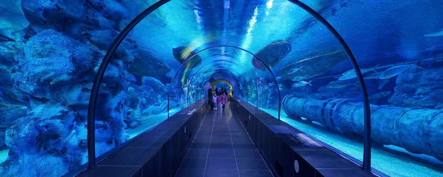 underwater aquarium in Delhi ticket price, underwater aquarium in Delhi Timings, underwater aquarium in Delhi Rohini, Best underwater aquarium in Delhi, 