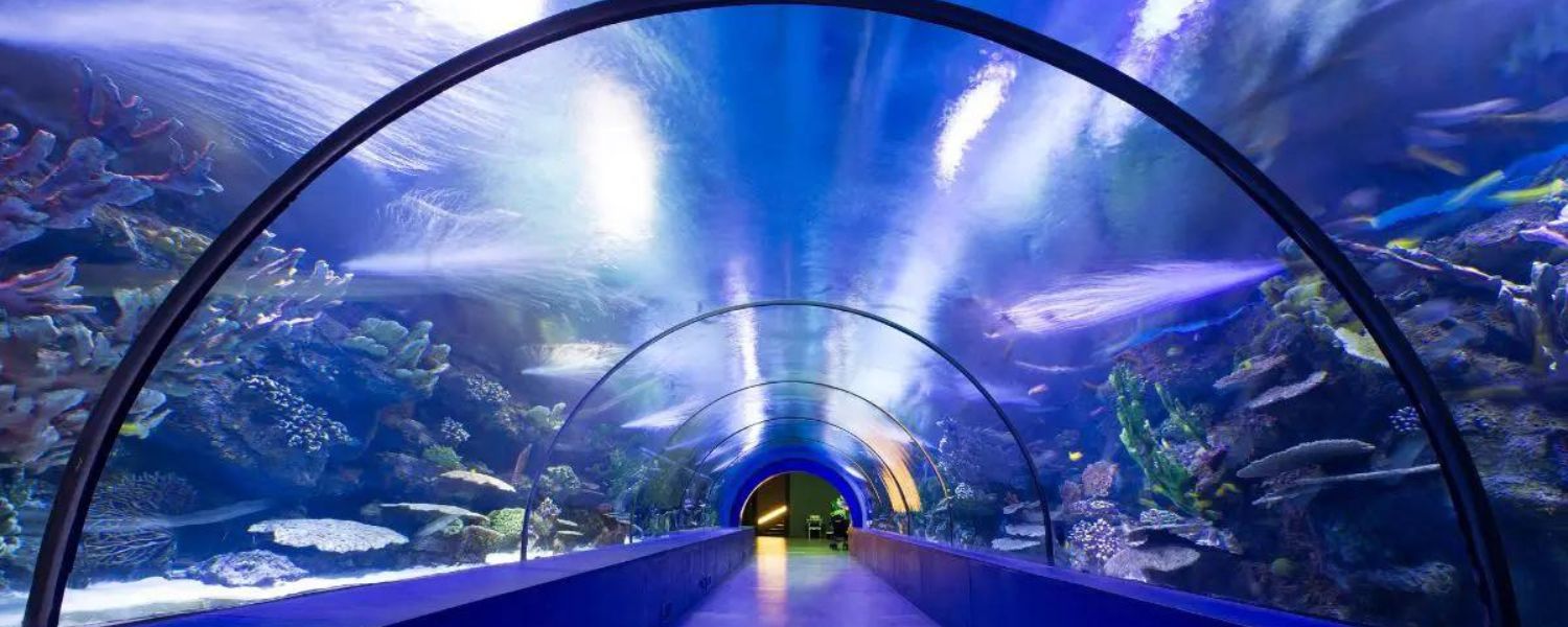 underwater aquarium in Delhi ticket price, underwater aquarium in Delhi Timings, underwater aquarium in Delhi Rohini, Best underwater aquarium in Delhi, 