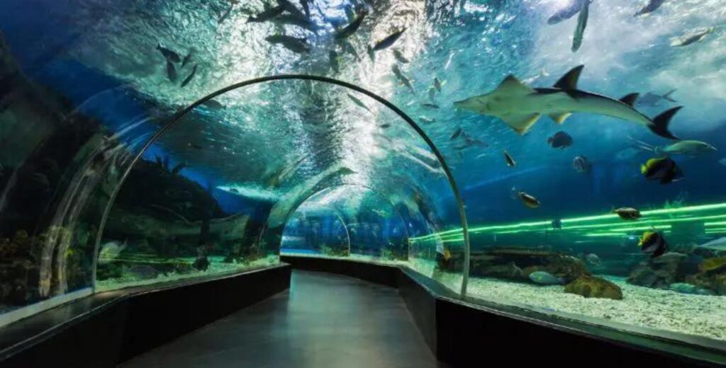 underwater aquarium in Delhi ticket price, underwater aquarium in Delhi Timings, underwater aquarium in Delhi Rohini, Best underwater aquarium in Delhi,