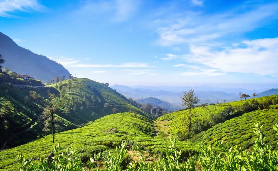 Hill Station in Tamil Nadu Anaimalai Hills