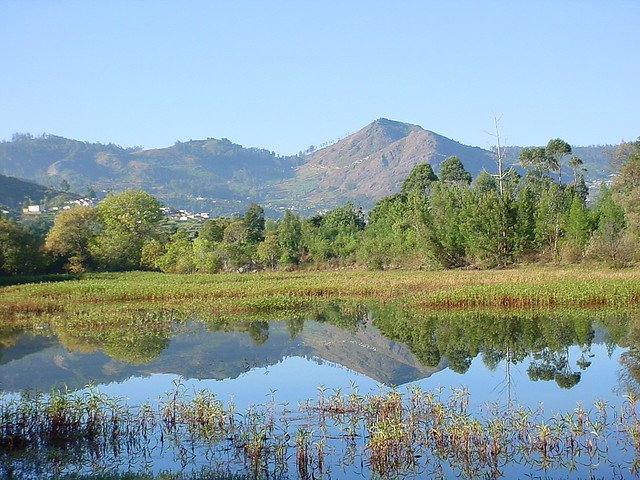 Bellikkal hill station