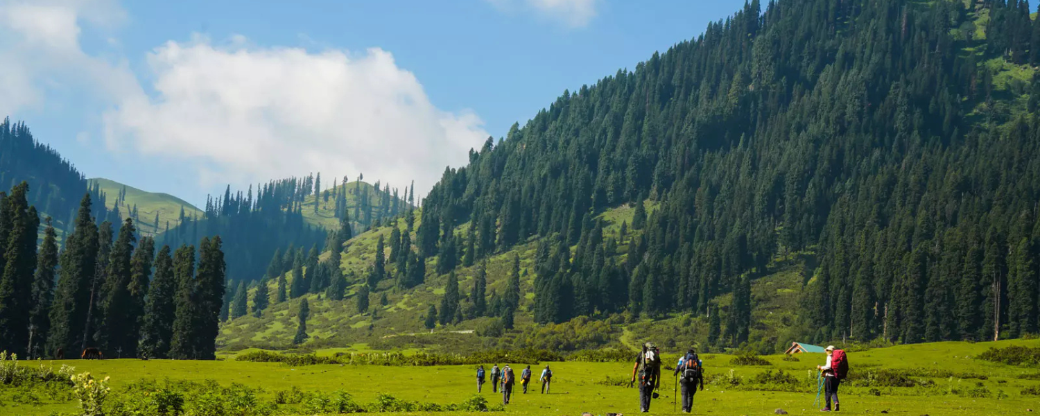 Bodpathri Meadows Trek Trekking Places in India