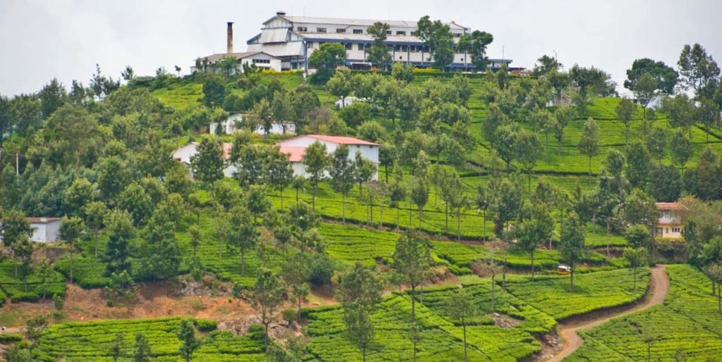 Hill Station Nadu Coonoor in Tamil Nadu Coonoor