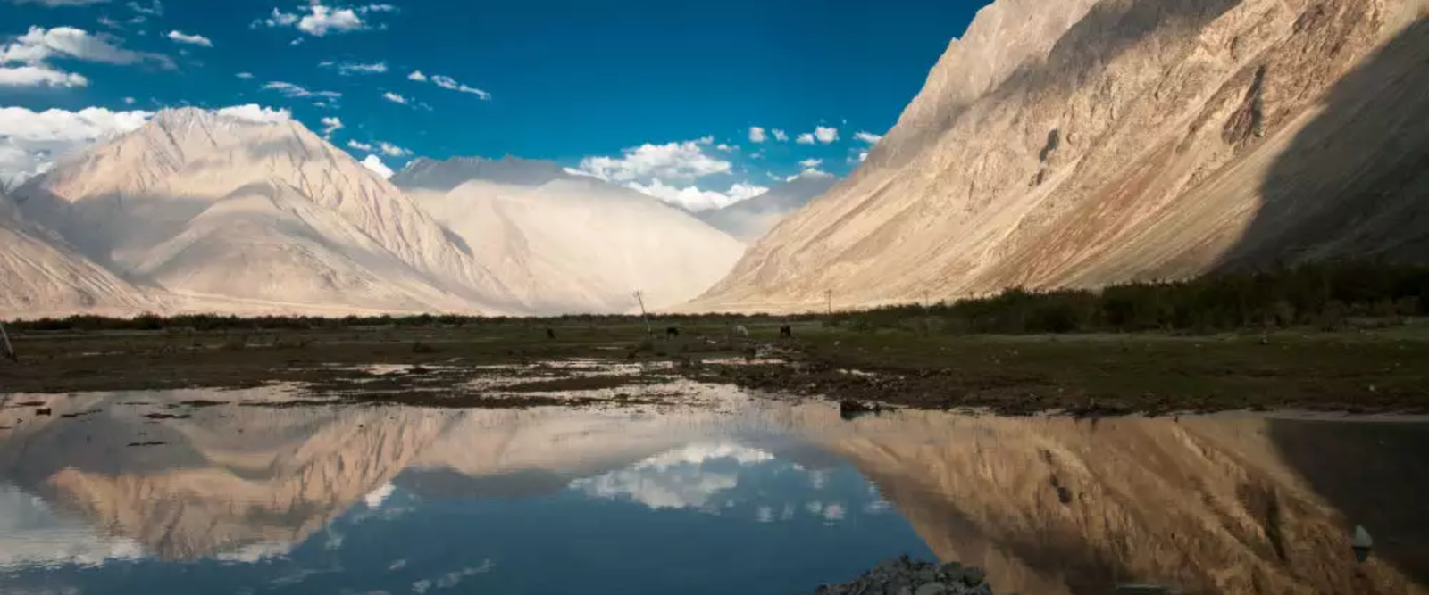 Top Things to Do in Nubra Valley for an Unforgettable Experience