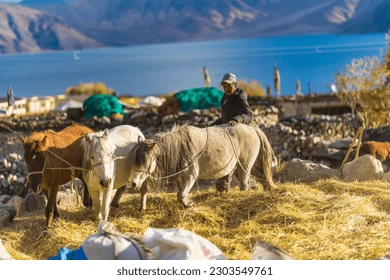 Exploring Nearby Villages Ladakh