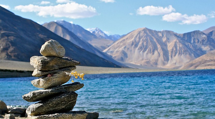 Flora and Fauna Around Pangong 