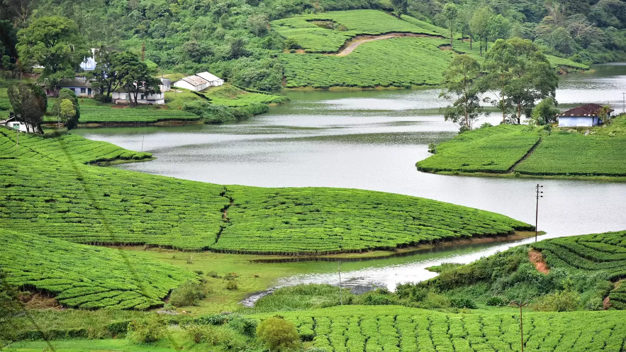 Hill Station in Tamil Nadu Meghamalai