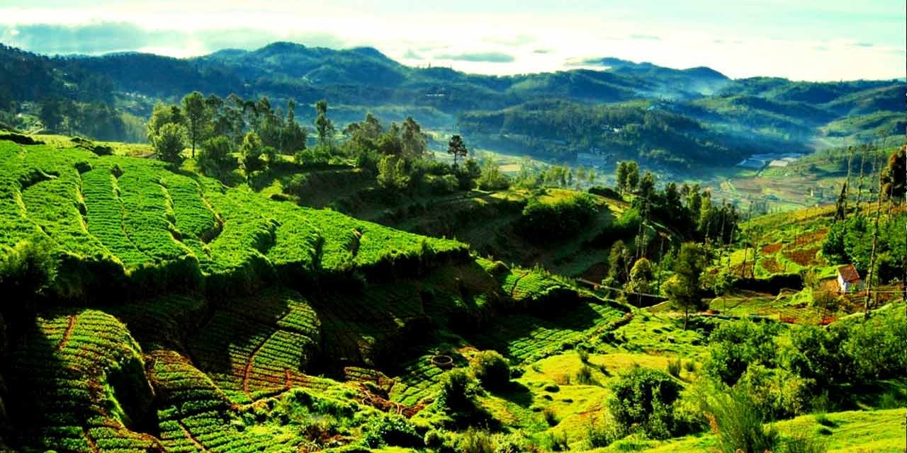 Hill Station in Tamil Nadu Ketti Valley, Coonoor