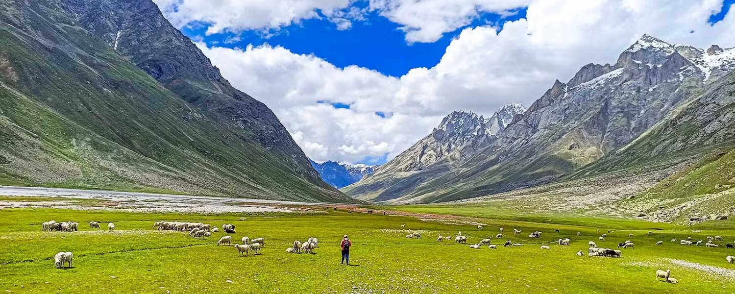 Miyar Valley Trek