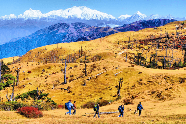 SANDAKPHU PHALUT TREK ITINERARY