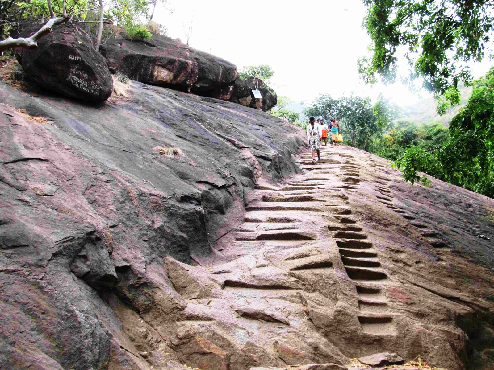 Hill Station in Sathuragiri Hills, Tamil Nadu