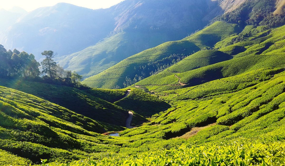 Hill Station in Theni