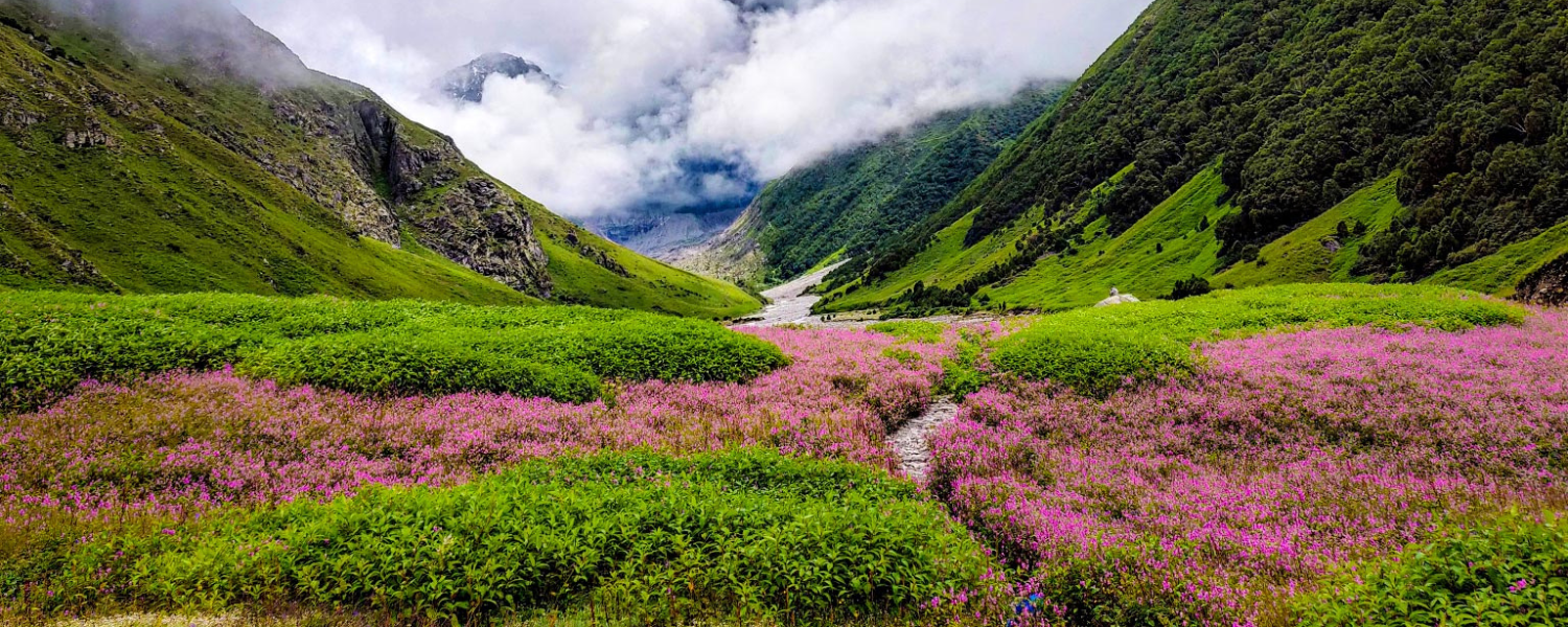 Valley of Flowers Trek