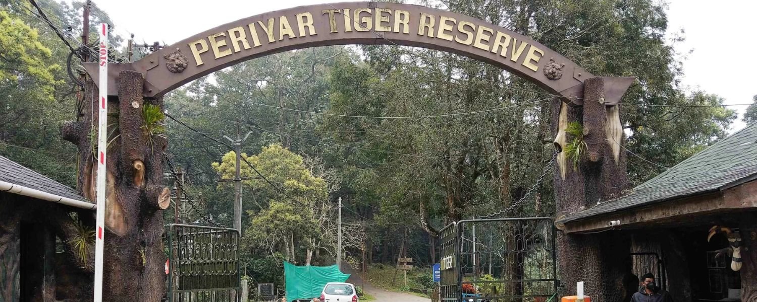 Engaging with the local tribes, Periyar Tiger Reserve