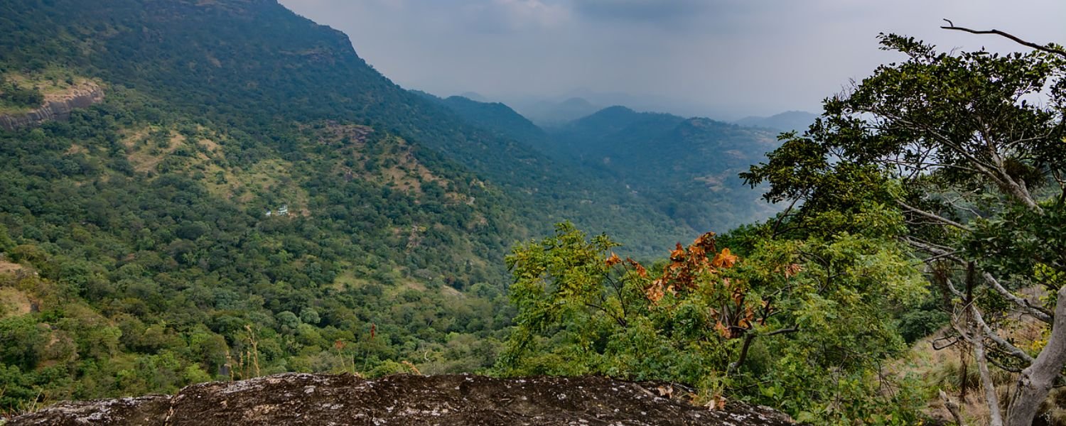 Chinnar Wildlife Sanctuary Trekking 