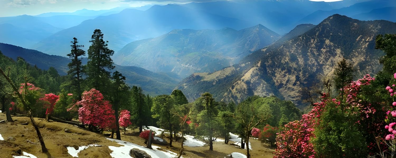 Budget for a Trip to Chopta