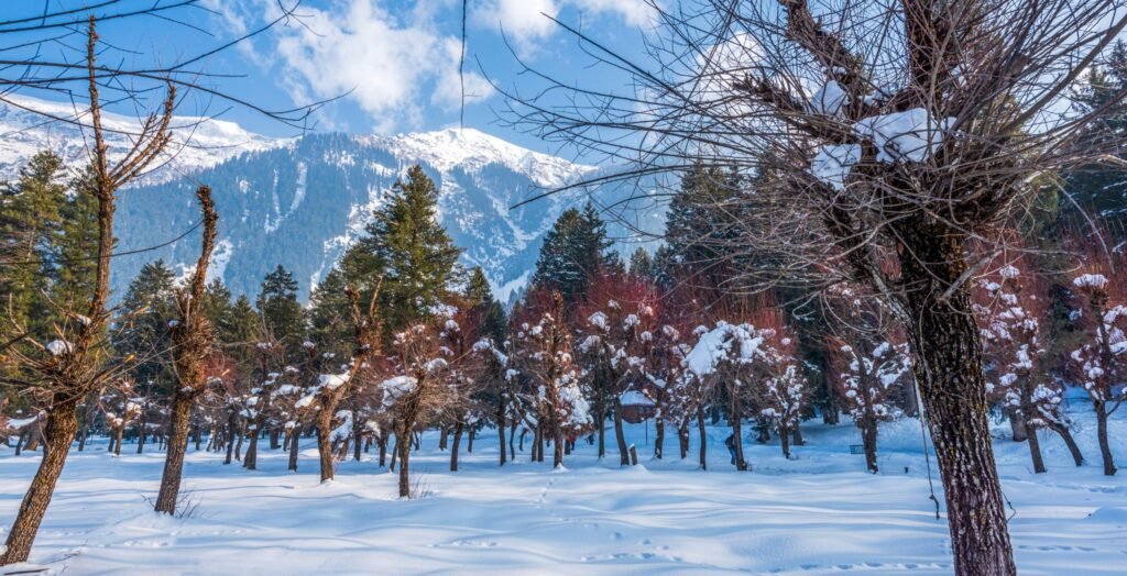 Betaab Valley Pahalgam