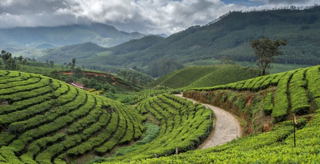 Darjeeling