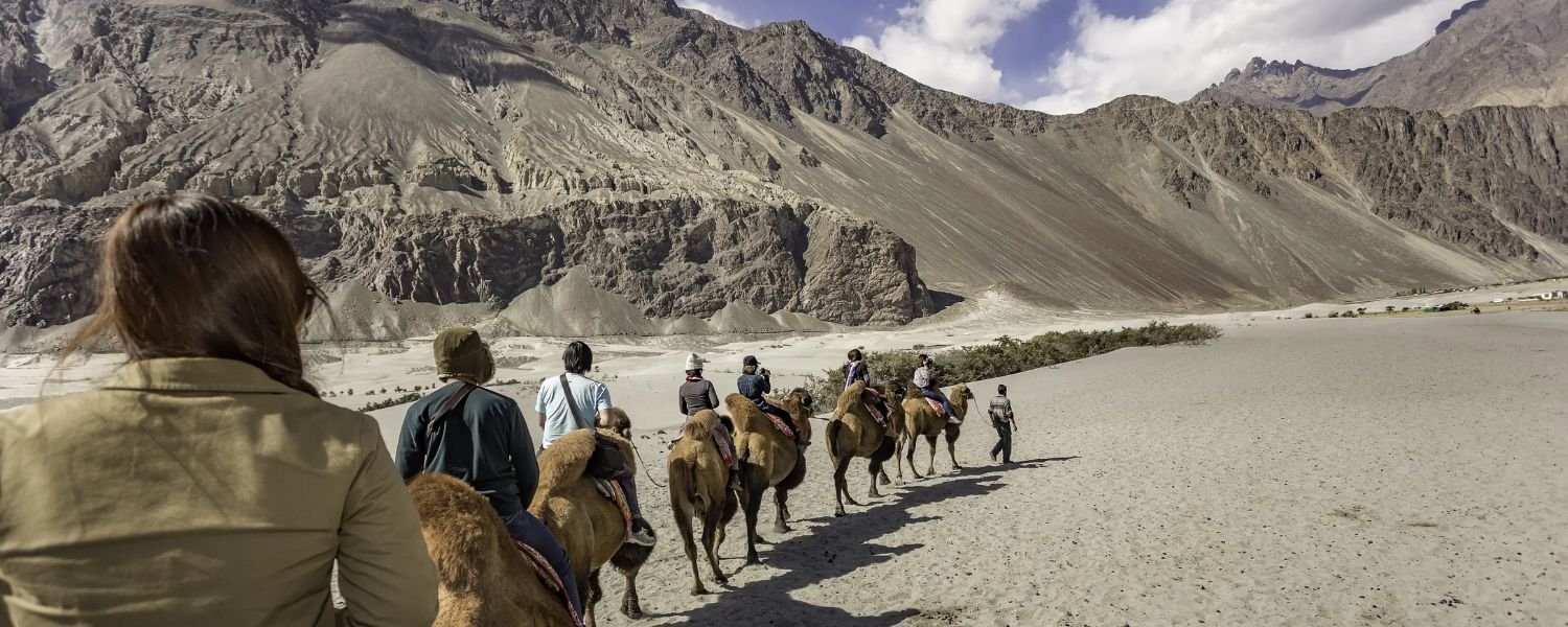 Experience the Ride of a Bactrian Camel