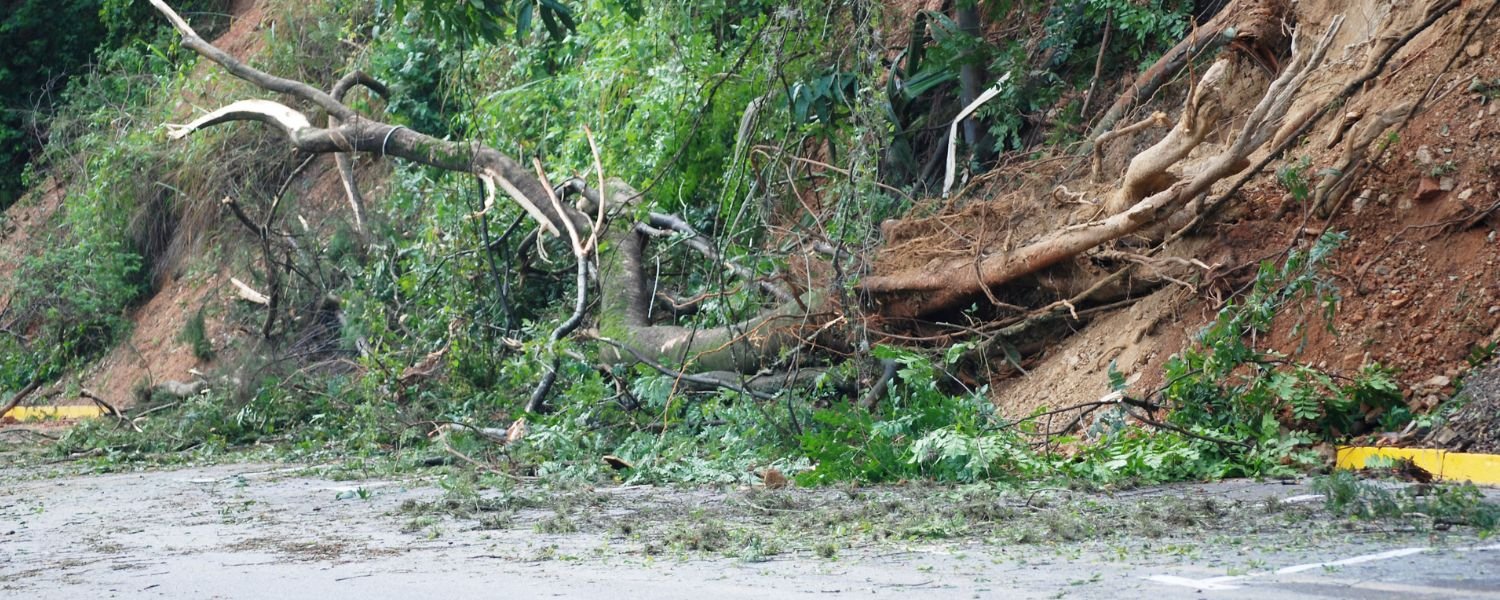 Monsoon Season in Tawang valley 