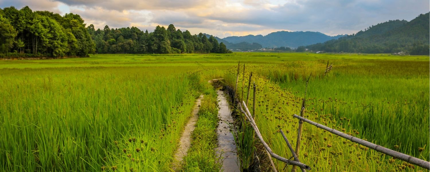 Monsoon season in ziro