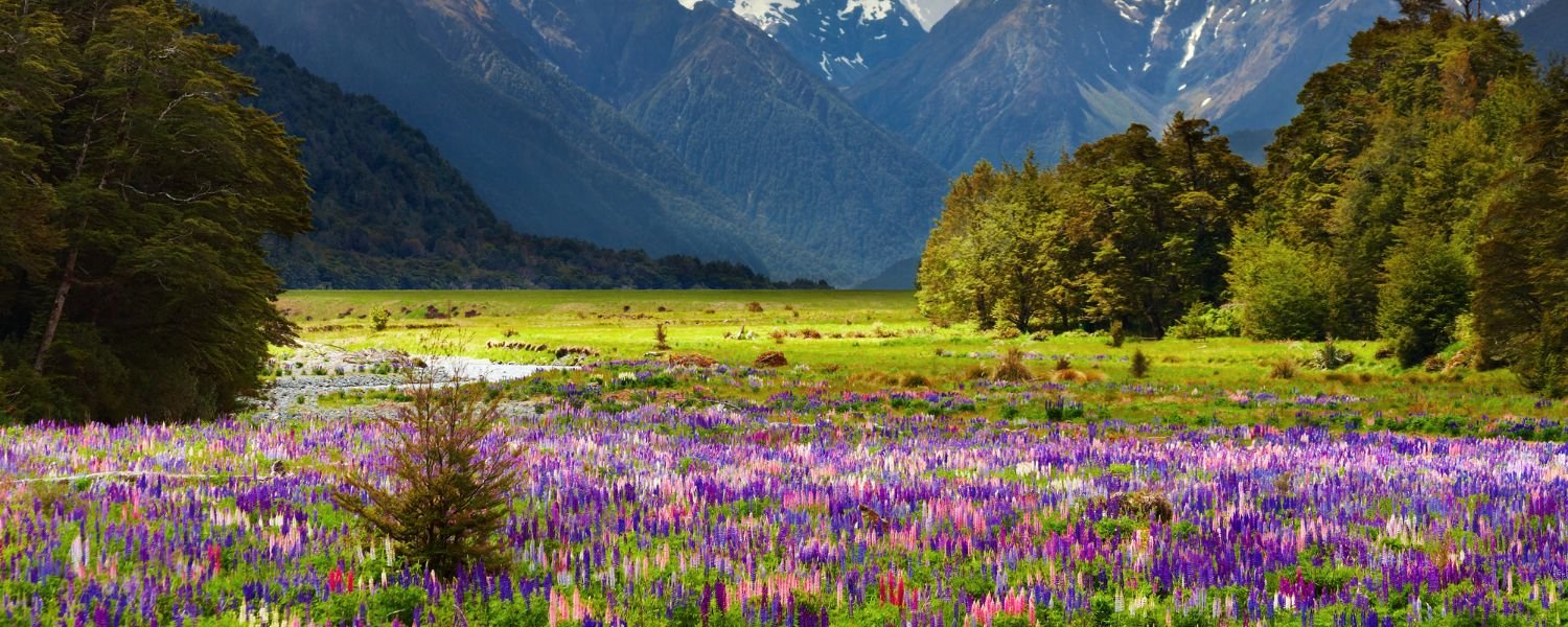 Nanda Devi