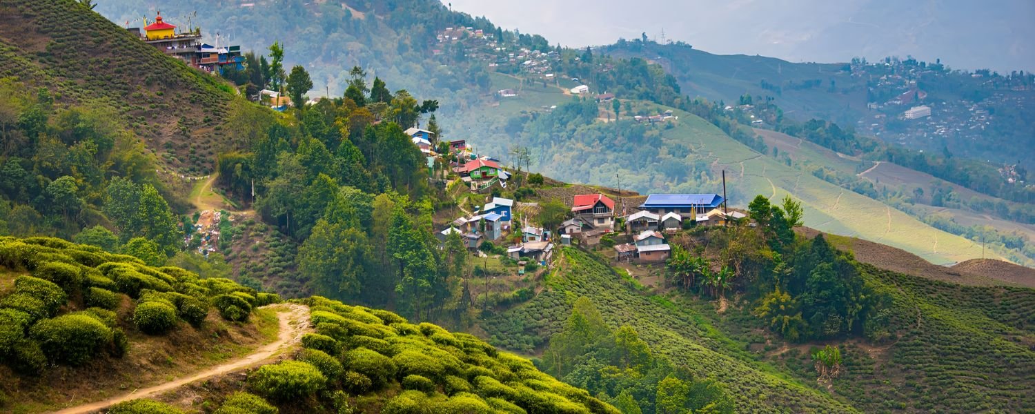Spring in Darjeeling