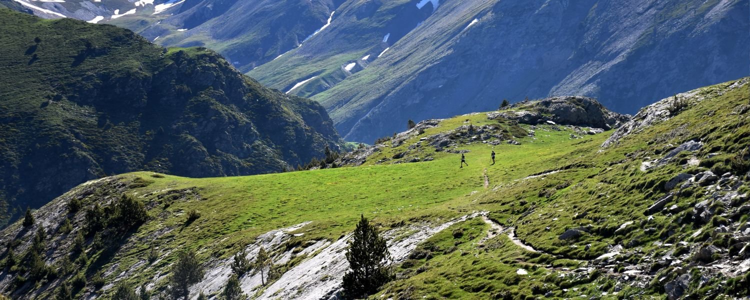 Top Things to Do in Ziro Valley