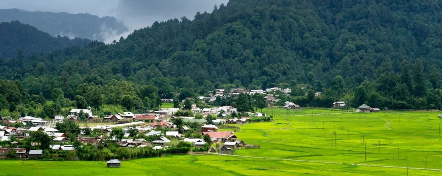 When is the best time to visit Ziro Valley
