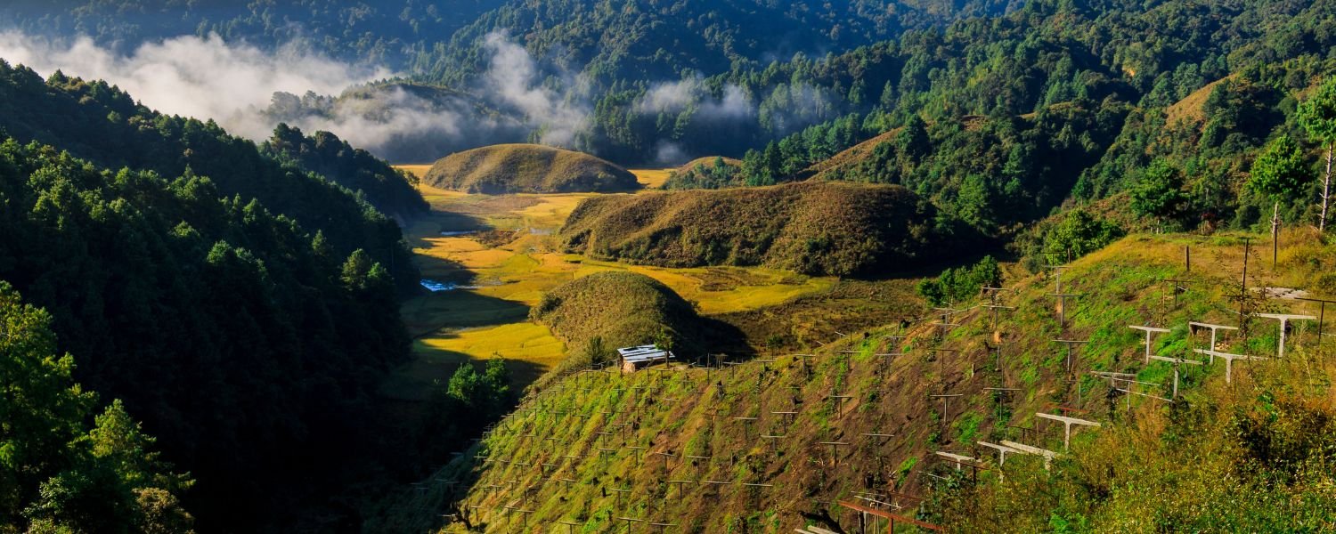 Ziro Puto Hill