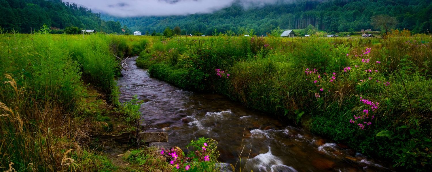 Ziro Valley