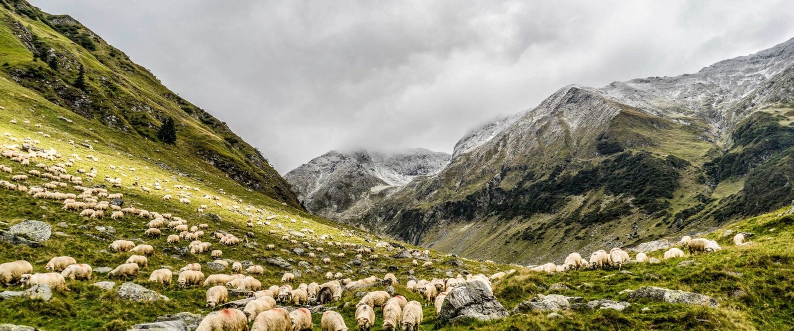 Ziro Valley: Hidden Gem of Arunachal Pradesh