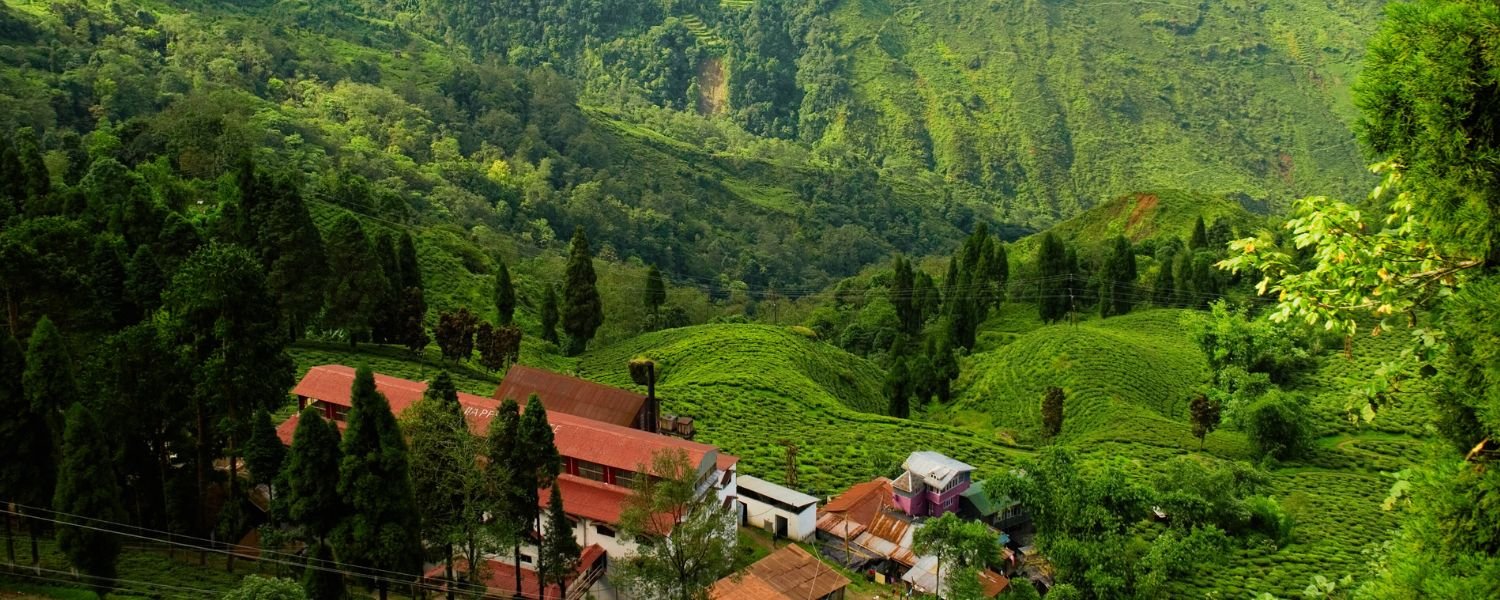 Darjeeling by air